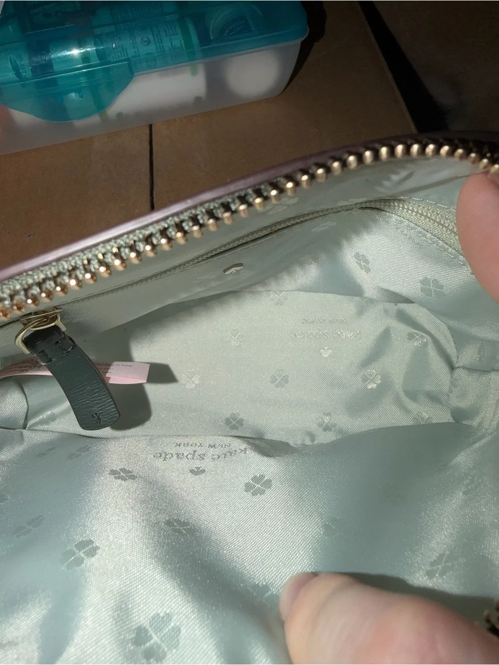 Kate Spade Pink Green Striped Leather Camera Crossbody Bag Gold Chain